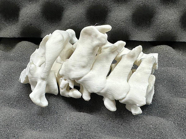 photo_2026-01-15_12-24-37. 