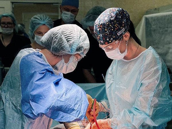 photo_1_2025-11-10_09-23-27. 