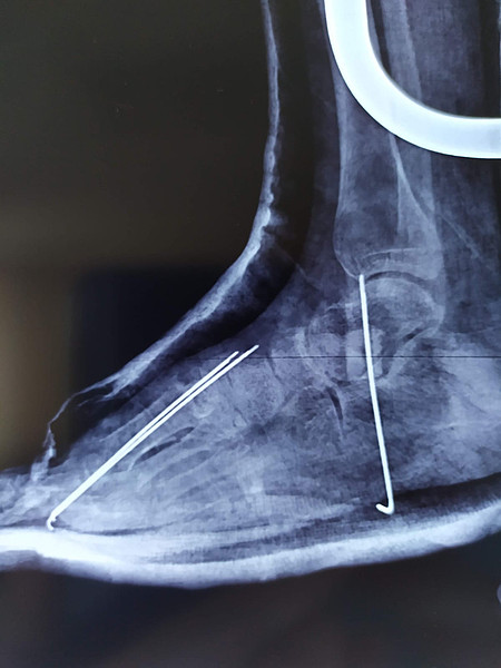 IMG-20230901-WA0003. 