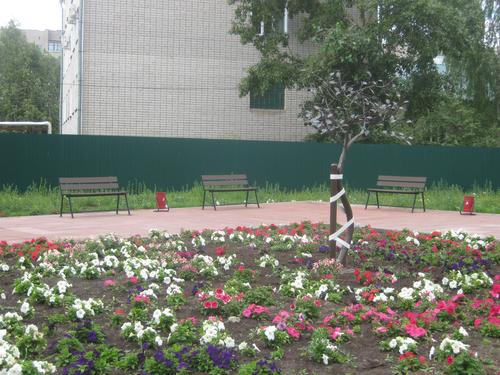 1������. ����� �������������, ��������� � �������������.