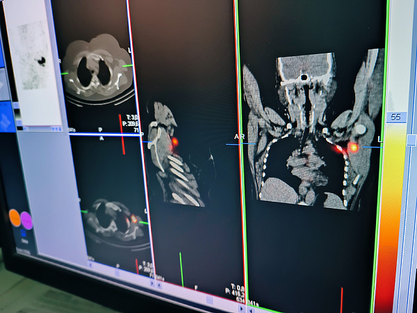 IMG_20230928_113533. 