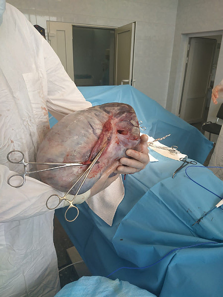 IMG-20210824-WA0003. 