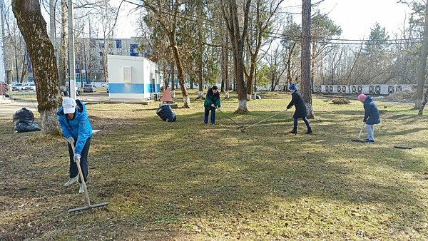 5. 