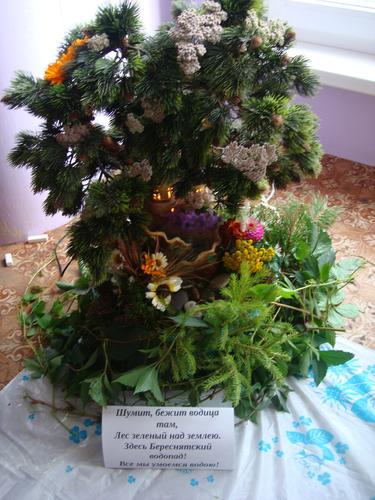 13. ������� ������ �� ����: ��������. ��������. �����.�.